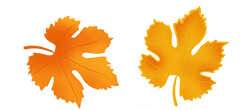 2.png
