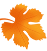 5.png