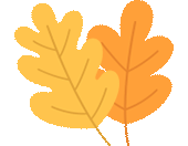 3.gif